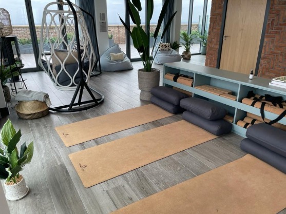 Studio with three yoga mats lined up 